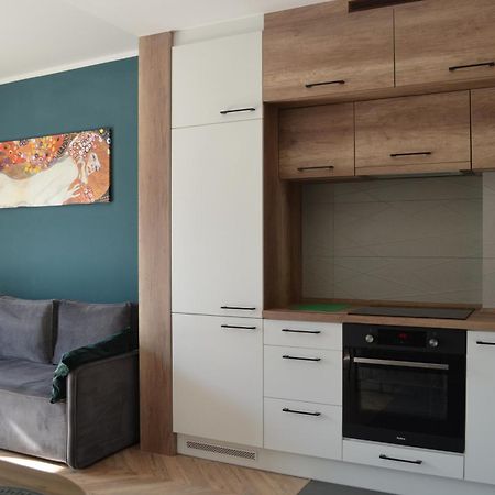 Apartment Sosnowiec City - Free Parking - Easy Check-In 외부 사진